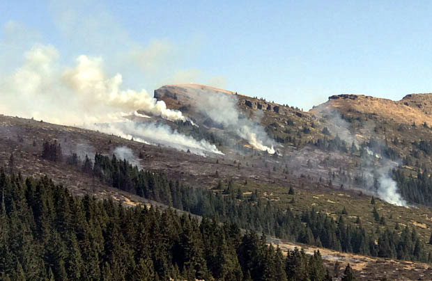 На Старој планини гореле и биљке месождерке: Србија у пожарима изгубила велико природно богатство